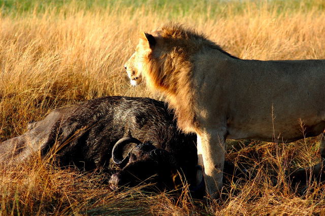 garybotswana_0017.jpg