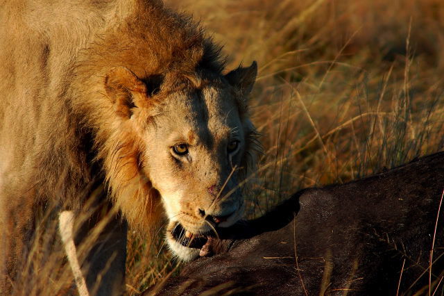 garybotswana_0019.jpg