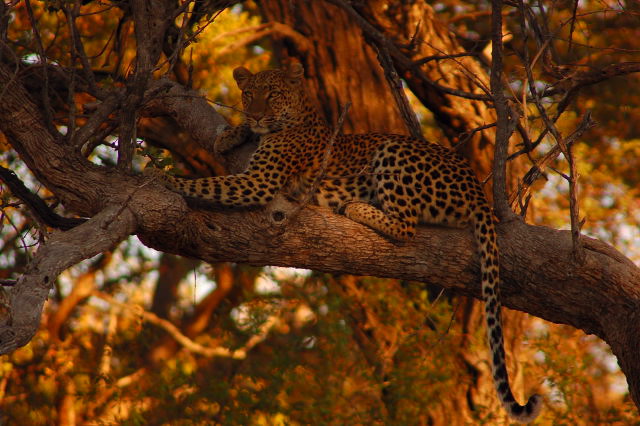 garybotswana_0021.jpg
