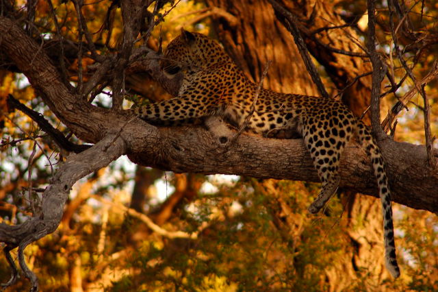 garybotswana_0022.jpg