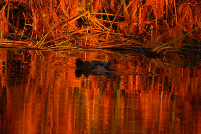 garybotswana_0024.jpg
