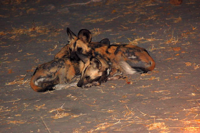 garybotswana_0034.jpg