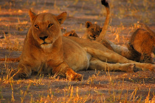 garybotswana_0045.jpg
