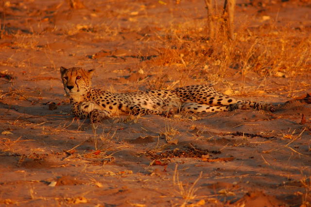 garybotswana_0049.jpg