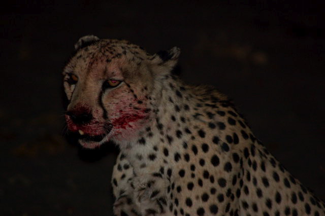 garybotswana_0065.jpg