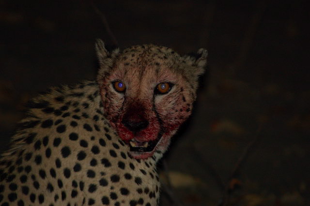garybotswana_0066.jpg
