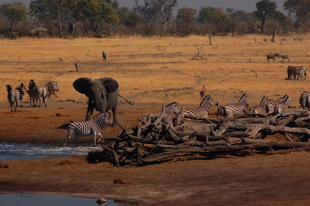 garybotswana_0088.jpg