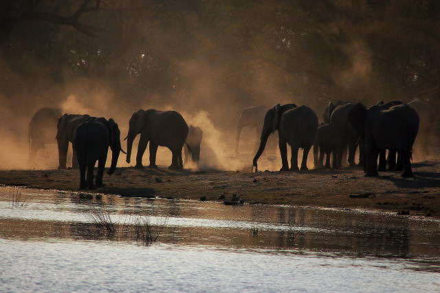 garybotswana_0090.jpg