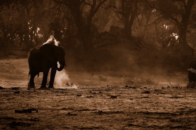 garybotswana_0092.jpg