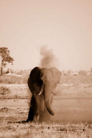garybotswana_0093.jpg