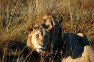 garybotswana_0018