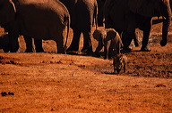 garybotswana_0026
