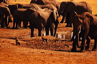 garybotswana_0027