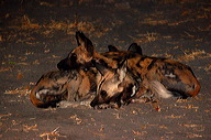 garybotswana_0035