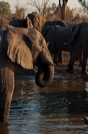 garybotswana_0078