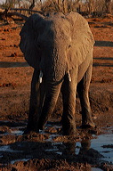 garybotswana_0079