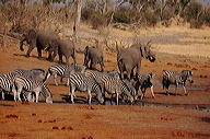 garybotswana_0086