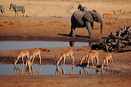 garybotswana_0087