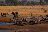 garybotswana_0088