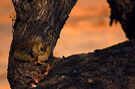 garybotswana_0089