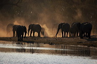 garybotswana_0090