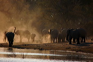garybotswana_0091