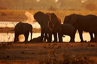 garybotswana_0094