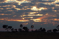 garybotswana_0099